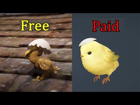 [BDO] 2020 Pet Tier List/ Guide/ Myths/ Free Pets .